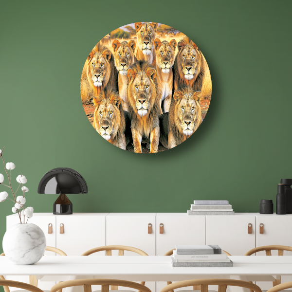 Leeuwen in Afrikaans Grasland aluminium muurcirkel