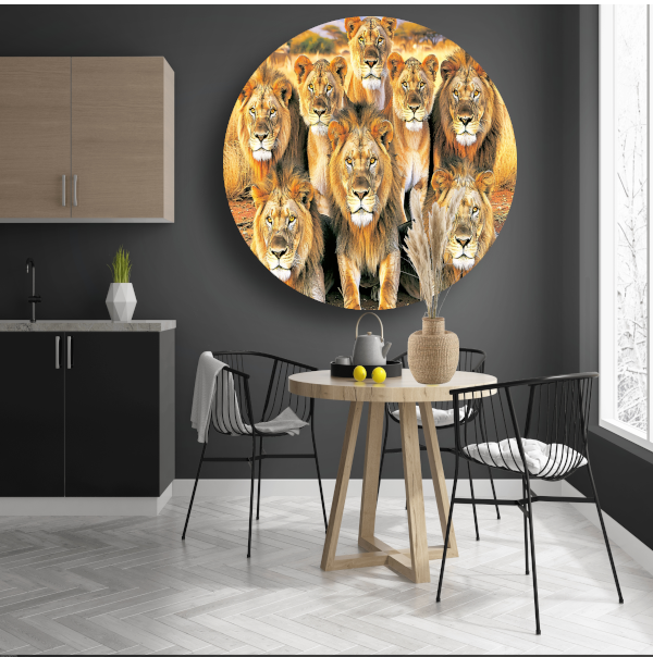 Leeuwen in Afrikaans Grasland aluminium muurcirkel