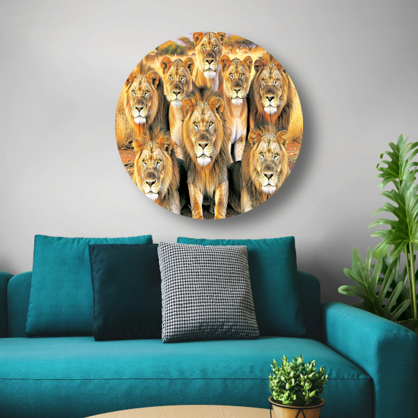 Leeuwen in Afrikaans Grasland aluminium muurcirkel