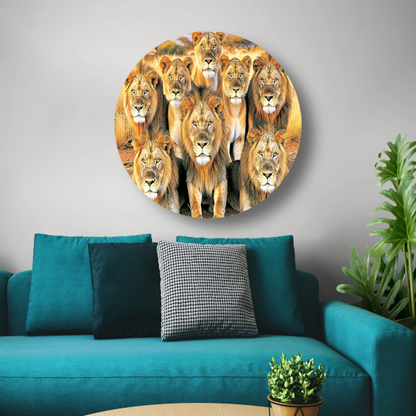 Leeuwen in Afrikaans Grasland aluminium muurcirkel