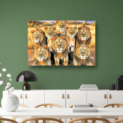 Leeuwen in Afrikaans Grasland canvas met baklijst