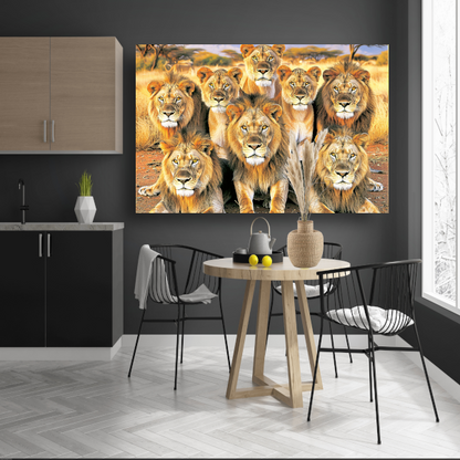 Leeuwen in Afrikaans Grasland canvas met baklijst