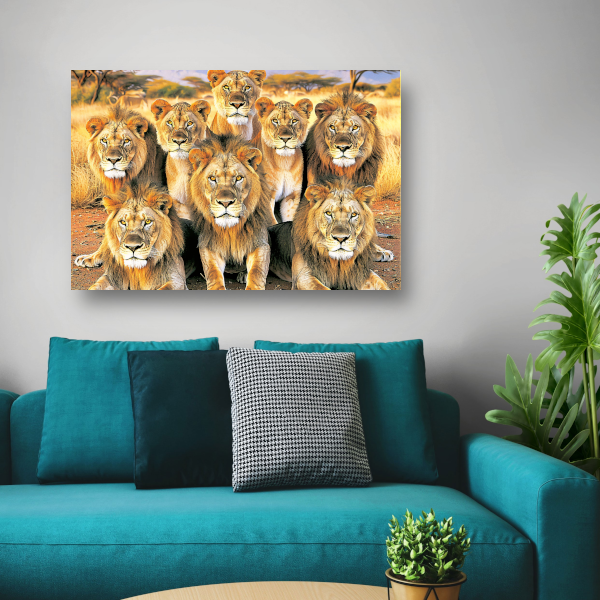 Leeuwen in Afrikaans Grasland canvas met baklijst
