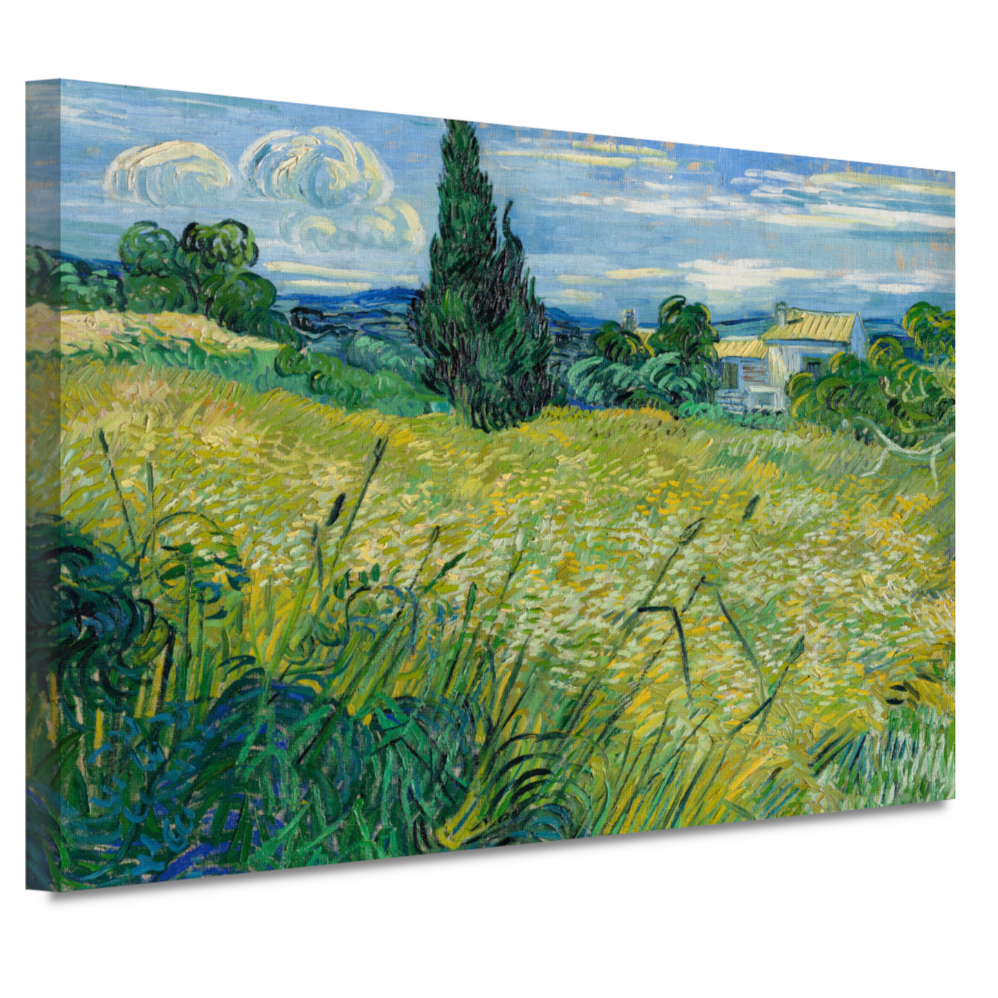 Groen Tarweveld met Cipres - Vincent van Gogh canvas