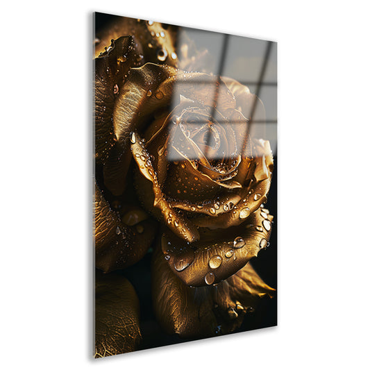 Betoverende gouden roos met ochtenddauw acrylglas
