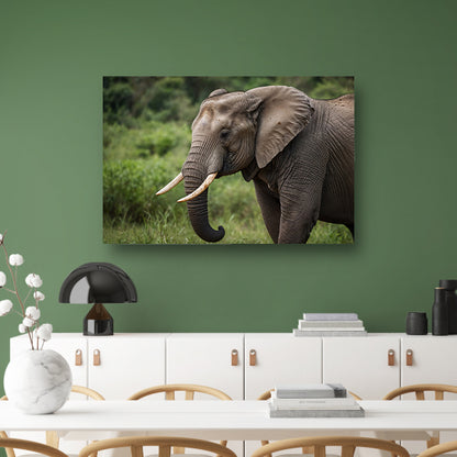 Prachtige olifant in natuurlijke habitat canvas