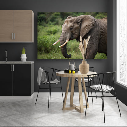 Prachtige olifant in natuurlijke habitat canvas