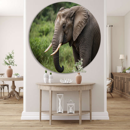 Prachtige olifant in natuurlijke habitat aluminium muurcirkel