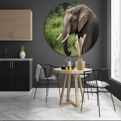Prachtige olifant in natuurlijke habitat aluminium muurcirkel