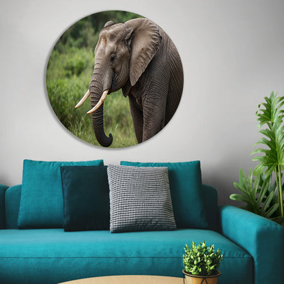 Prachtige olifant in natuurlijke habitat aluminium muurcirkel