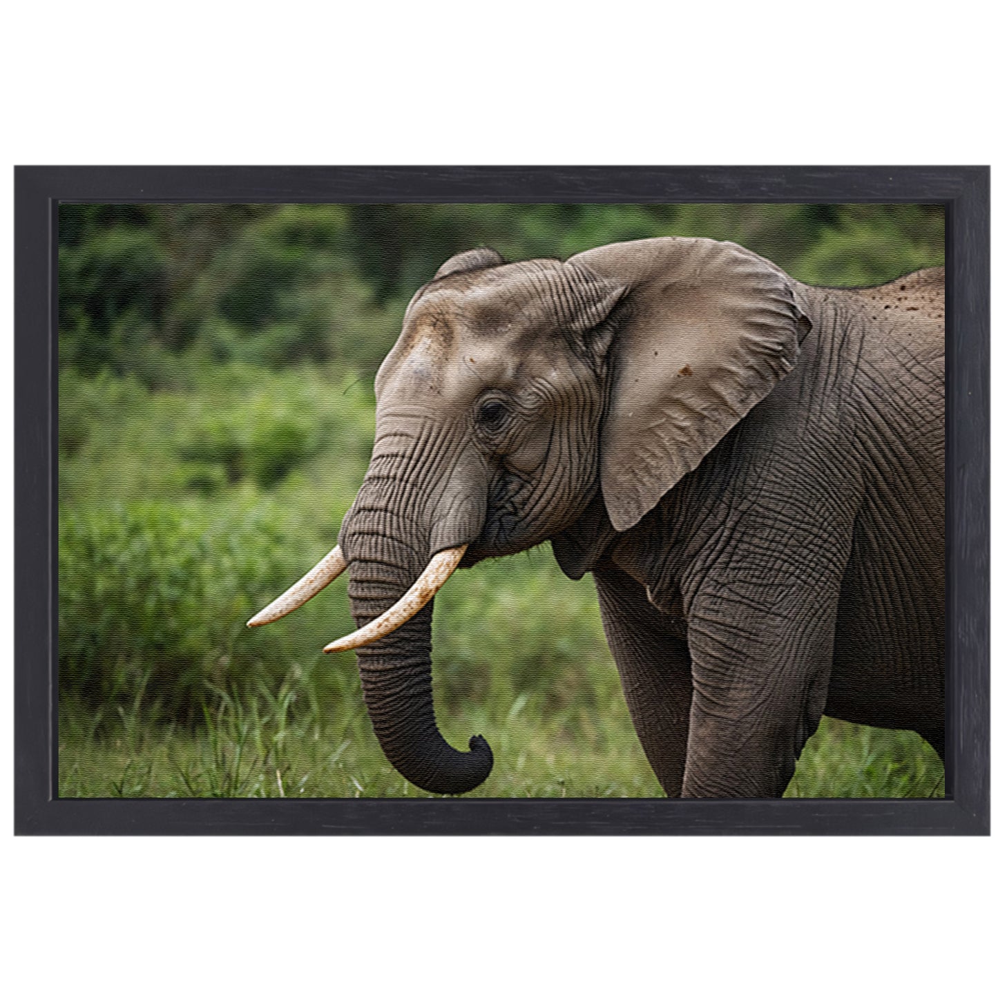 Prachtige olifant in natuurlijke habitat canvas met baklijst