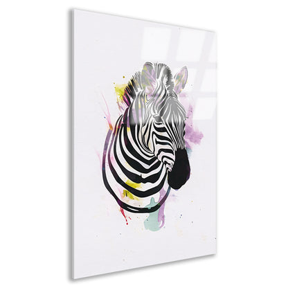Gestileerde Zebra in een Kleurexplosie acrylglas