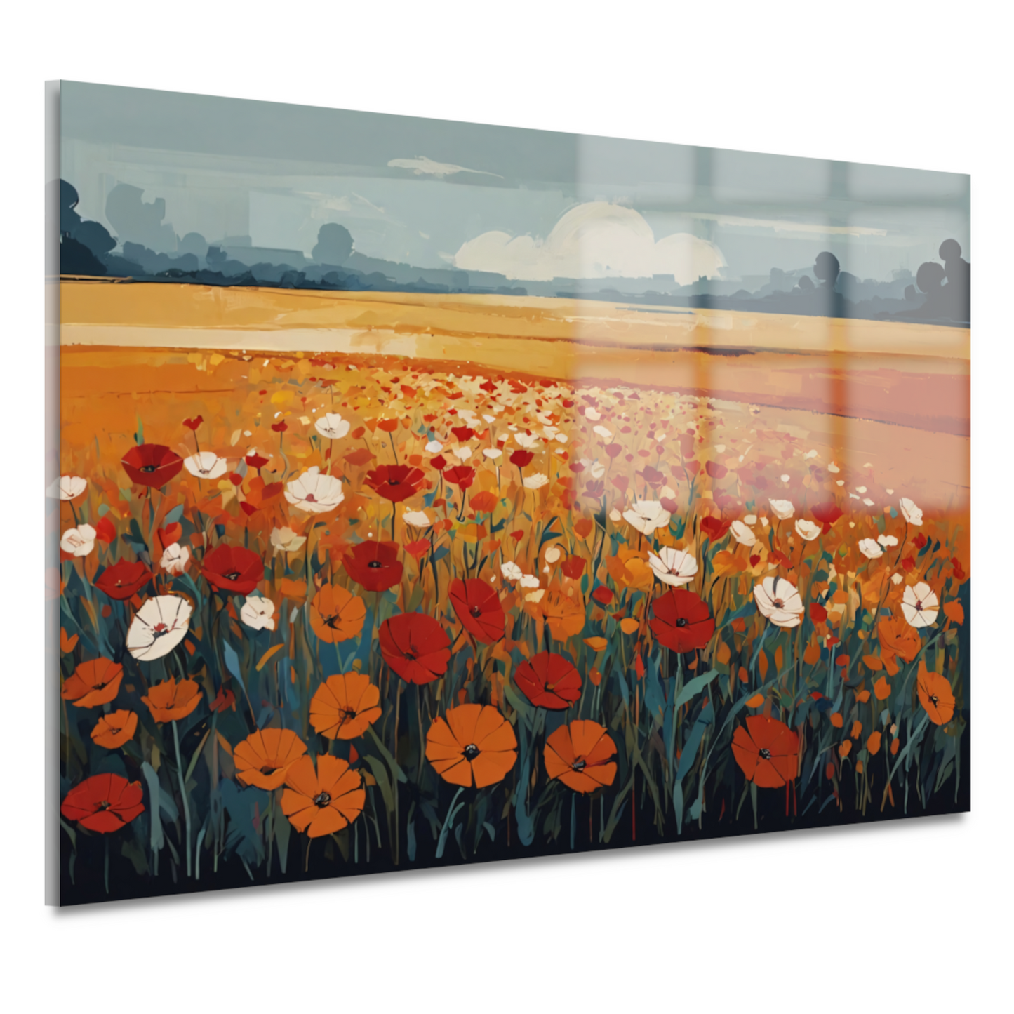 Vibrant Summer Poppies in Full Bloom acrylglas