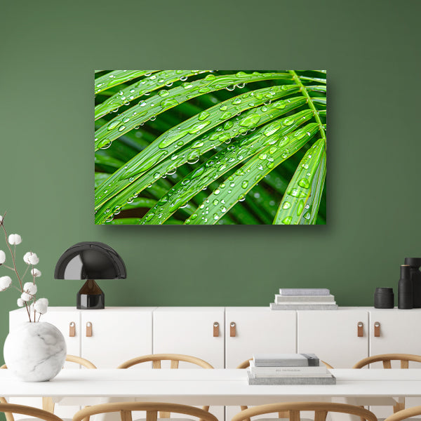 Groene bladeren met dauwdruppels in detailposter