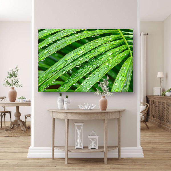 Groene bladeren met dauwdruppels in detailposter