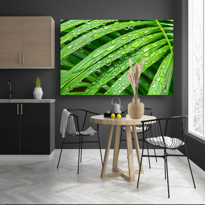 Groene bladeren met dauwdruppels in detailposter