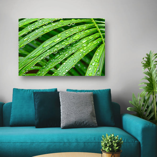 Groene bladeren met dauwdruppels in detailposter
