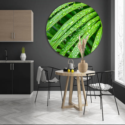 Groene bladeren met dauwdruppels in detail aluminium muurcirkel