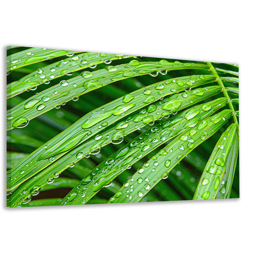 Groene bladeren met dauwdruppels in detail canvas