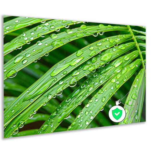 Groene bladeren met dauwdruppels in detailposter
