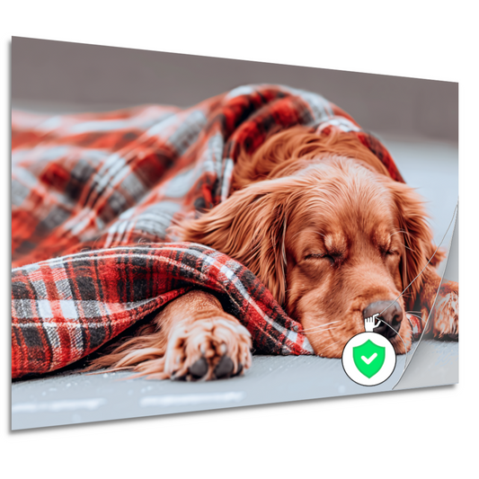 Hond rust onder plaid poster