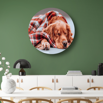 Hond rust onder plaid forex muurcirkel