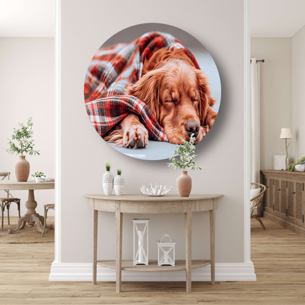 Hond rust onder plaid forex muurcirkel
