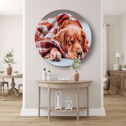 Hond rust onder plaid forex muurcirkel