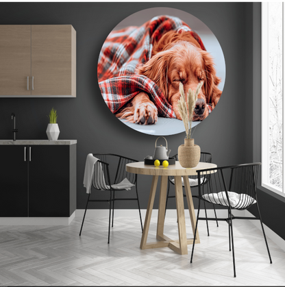 Hond rust onder plaid forex muurcirkel