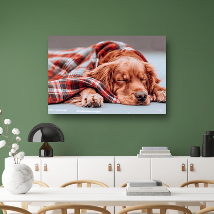 Hond rust onder plaid canvas met baklijst