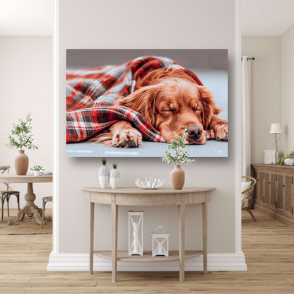 Hond rust onder plaid canvas