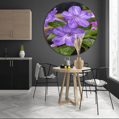 Close-up van paarse bloemen in bloei forex muurcirkel