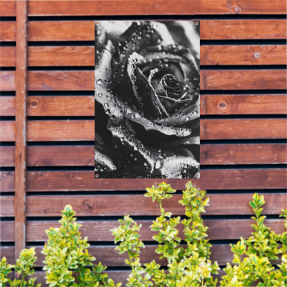 Zwart-witte roos met dauwdruppels close-up tuinposter