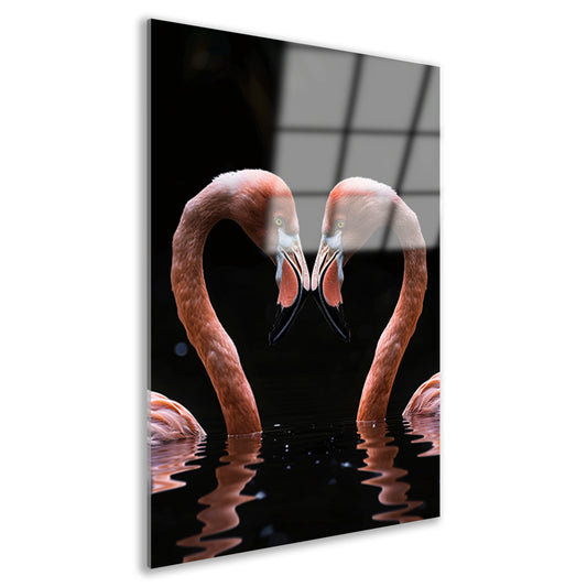 Twee flamingos vormen hart in water acrylglas