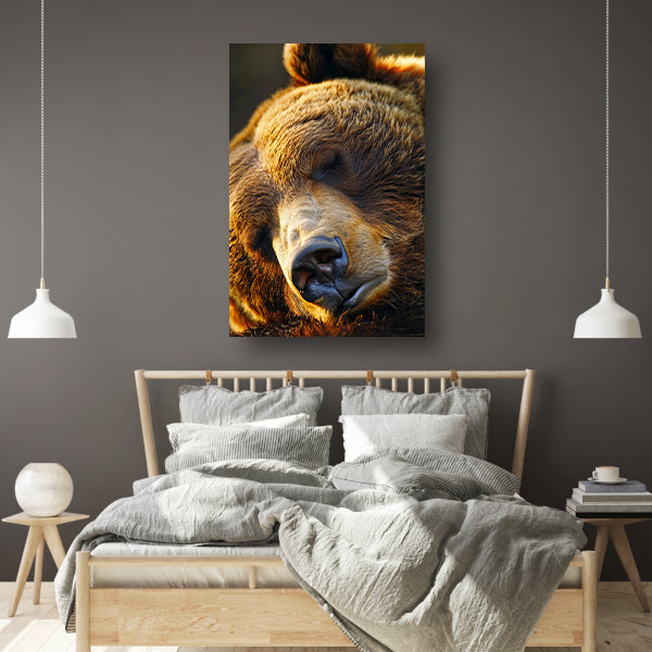 Close-up portret van een slapende beer canvas