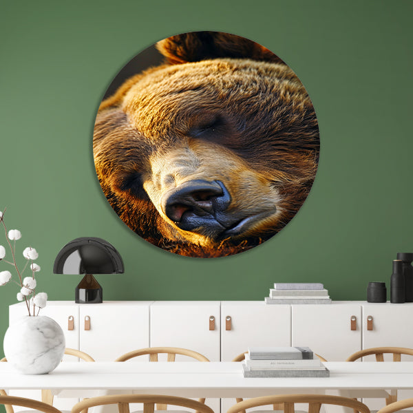 Close-up portret van een slapende beer forex muurcirkel