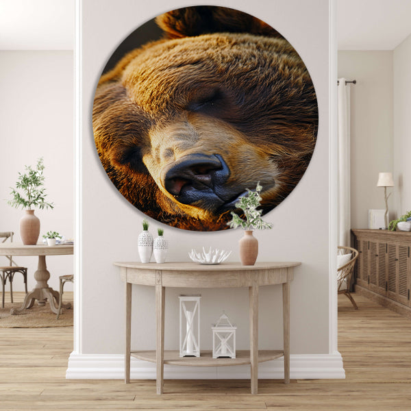 Close-up portret van een slapende beer aluminium muurcirkel