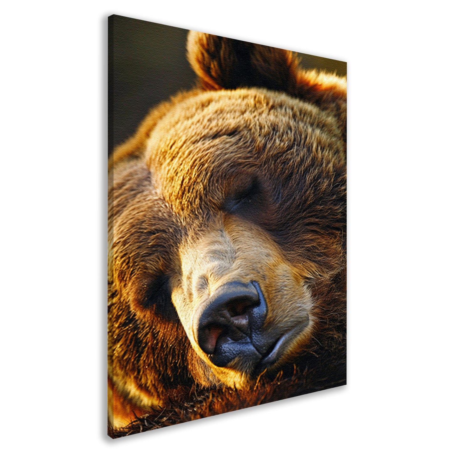 Close-up portret van een slapende beer canvas