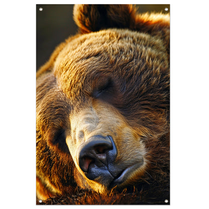 Close-up portret van een slapende beer tuinposter