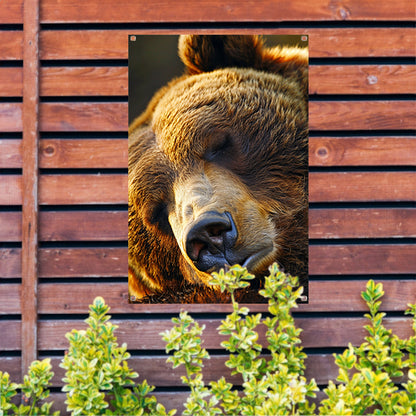 Close-up portret van een slapende beer tuinposter