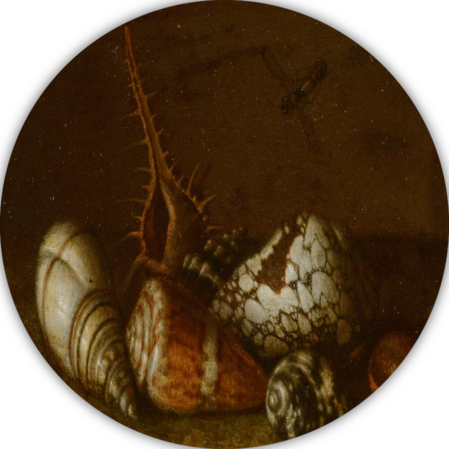 Schelpen op een tafel - Balthasar van der Ast forex muurcirkel