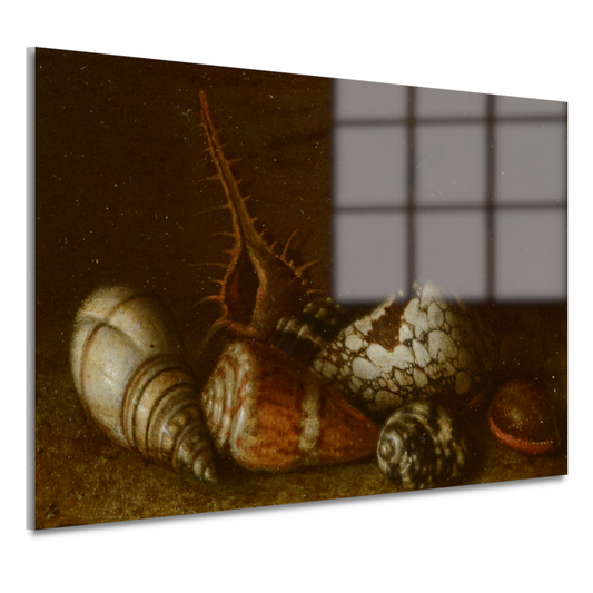 Schelpen op een tafel - Balthasar van der Ast acrylglas