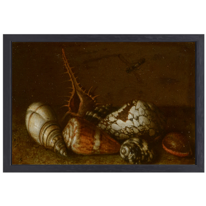Schelpen op een tafel - Balthasar van der Ast canvas met baklijst