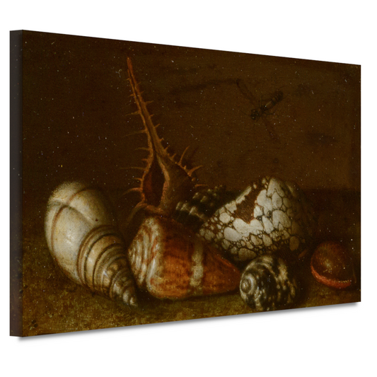 Schelpen op een tafel - Balthasar van der Ast canvas