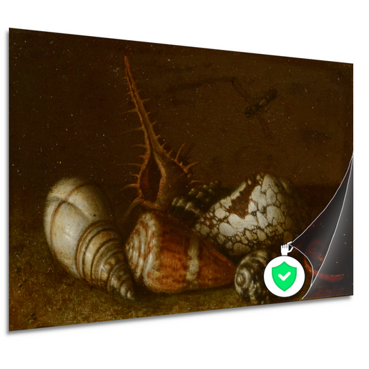 Schelpen op een tafel - Balthasar van der Ast poster