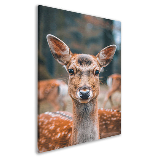 Portret van een nieuwsgierig hert canvas
