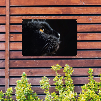 Zwarte Kat met Doordringende Gele Ogen tuinposter