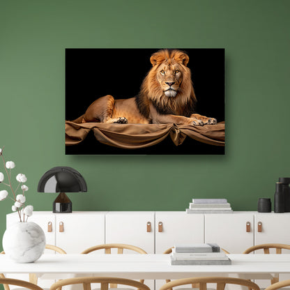 Rustende Leeuw op Stoffen Achtergrond acrylglas