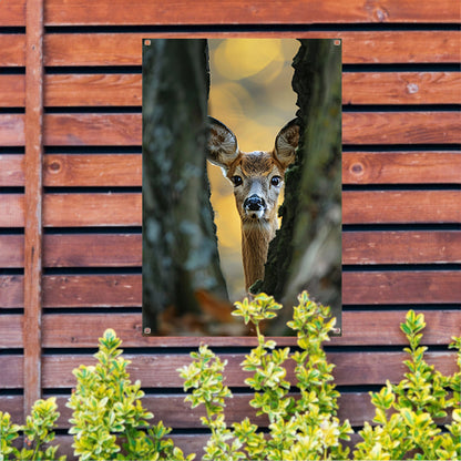 Jonge hert kijkt tussen bomen in herfstbos tuinposter