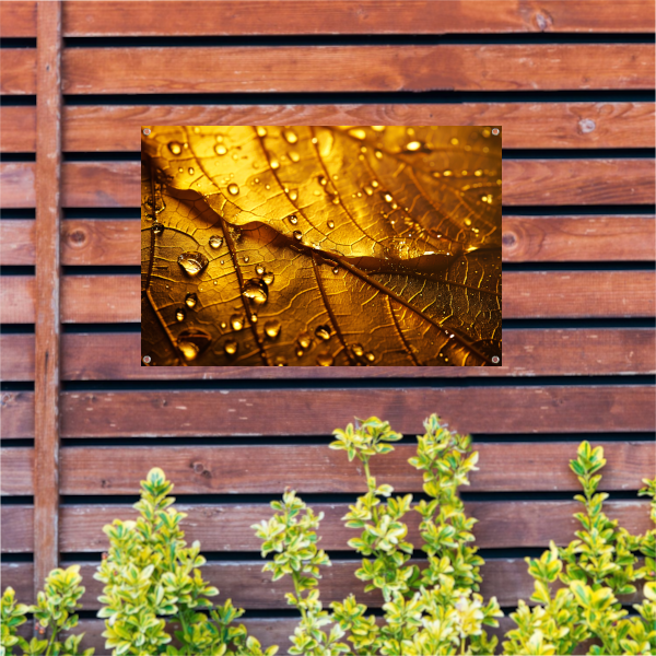 Waterdruppels op goudkleurig blad in detail tuinposter